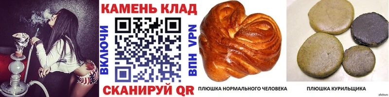 Где можно купить наркотики Щучье Бошки Шишки  Метадон  ГАШИШ  COCAIN 