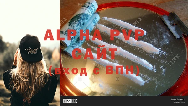 стафф Заволжье